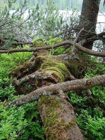 zielona_szkola5037.jpg -                                