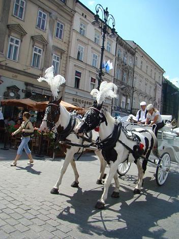 zielona_szkola5180.jpg - Ja się z nimi zabieram.