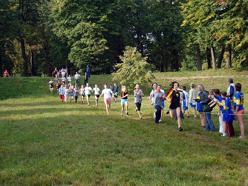 biegi_powiat200830.jpg