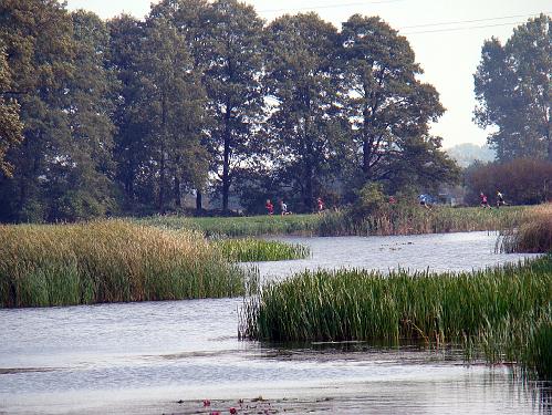 biegi_powiat200836.jpg