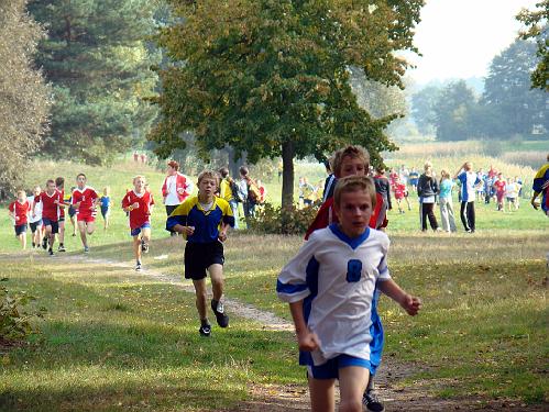biegi_powiat200838.jpg