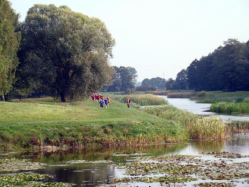 biegi_powiat200846.jpg