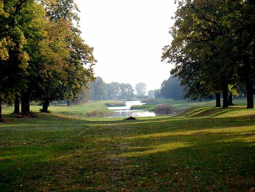 biegi_powiat20085.jpg