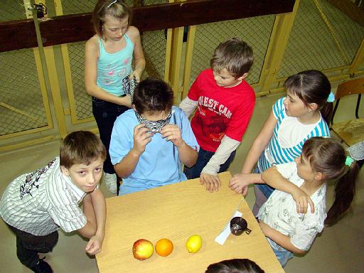 dyskoteka_andrzejkowa_33.jpg