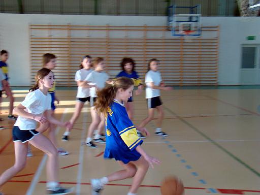 kosz_gmina_25.jpg