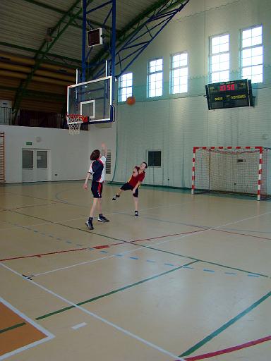 kosz_gmina_80.jpg