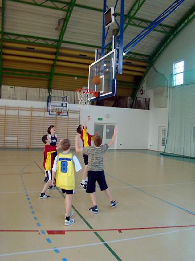 kosz_gmina_85.jpg