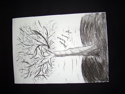 sanna_2009_106.jpg