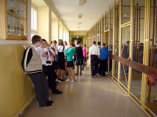 test_6_klasisty_1.jpg