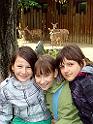 zielona_szkola_183
