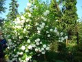 rajd_modrzewskiego_2010-98