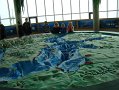 zielona_szkola_2010-147