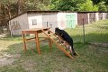 I_festyn_rodzinny_2011-69