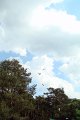 I_festyn_rodzinny_2011-7
