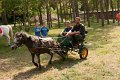 I_festyn_rodzinny_2011-90