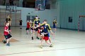 kosz_gmina_2011-54