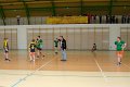 kosz_powiat_2011-8_2