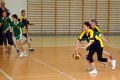 kosz_dz_powiat_2011-45