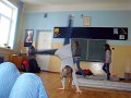 sanna_2011-211