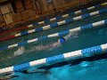 sanna_2011-81