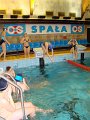 sanna_2011-84