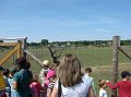 zoosafari_2011-643
