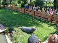 zoosafari_2011-654