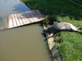 zoosafari_2011-655