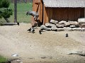 zoosafari_2011-656