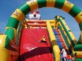 zoosafari_2011-671