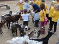 zoosafari_2011-681
