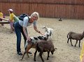 zoosafari_2011-683