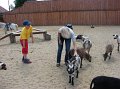 zoosafari_2011-684