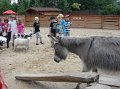zoosafari_2011-700