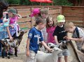 zoosafari_2011-701