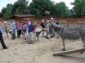 zoosafari_2011-702