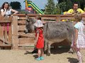 zoosafari_2011-706