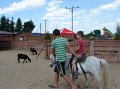 zoosafari_2011-713