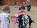 zoosafari_2011-714