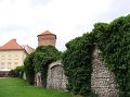 zielona_szkola_2011-468