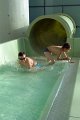 ferie_zimowe_2012-82