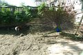 XXV_rajd_modrzewskijego_2012-212