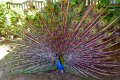 XXV_rajd_modrzewskijego_2012-231