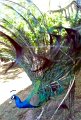XXV_rajd_modrzewskijego_2012-232