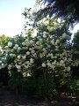 XXV_rajd_modrzewskijego_2012-234