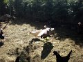 XXV_rajd_modrzewskijego_2012-242