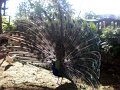 XXV_rajd_modrzewskijego_2012-245