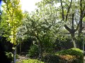 XXV_rajd_modrzewskijego_2012-269