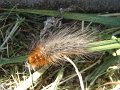 XXV_rajd_modrzewskijego_2012-284