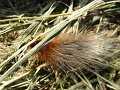 XXV_rajd_modrzewskijego_2012-285